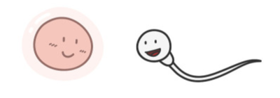 t04279b208e973e0057.png