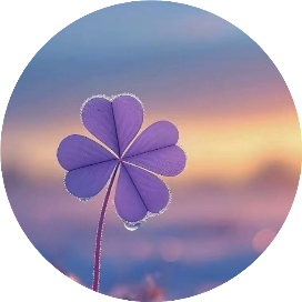 hugmamu日本美妈育儿