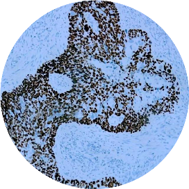 Mariner Pathology