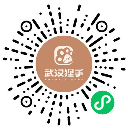 武汉狸手