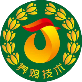 养鸡技术
