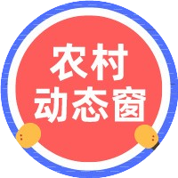 农村动态窗