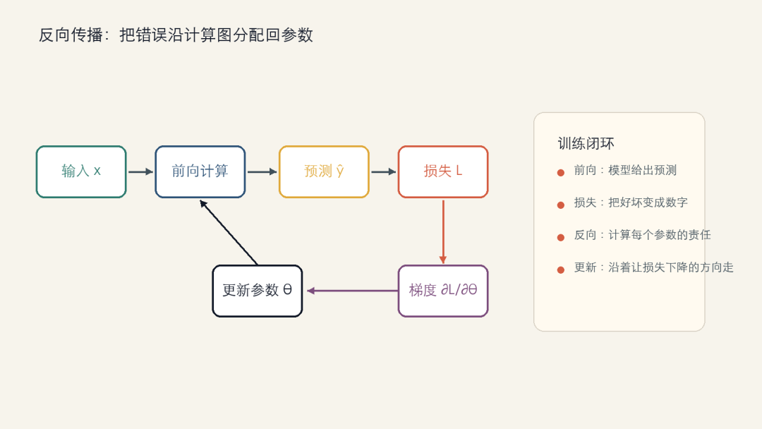 图 2：反向传播训练闭环