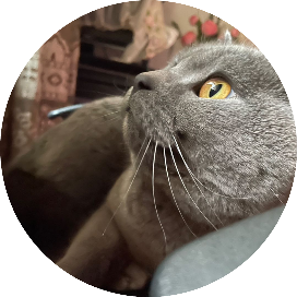 每天看一本好书