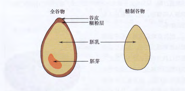 只有未经过精加工的完整谷粒,或把谷粒压扁,磨碎或磨成粉,才能称得上