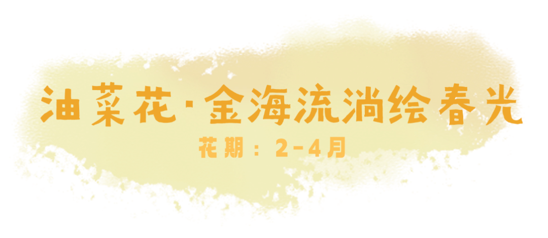 店铺商铺门店外卖品牌创意LOGO (1).png