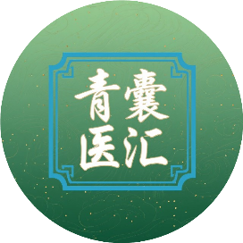 青囊医汇
