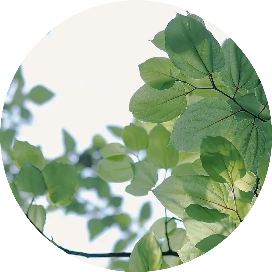 莹宝阁