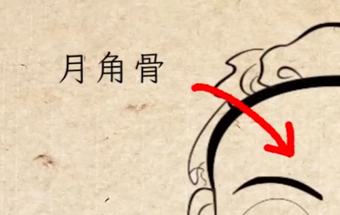 俗语：“头生九龙骨，早晚必显贵”，啥是九龙骨？老祖宗识人术准吗？