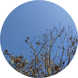 嘉一说职场及创业