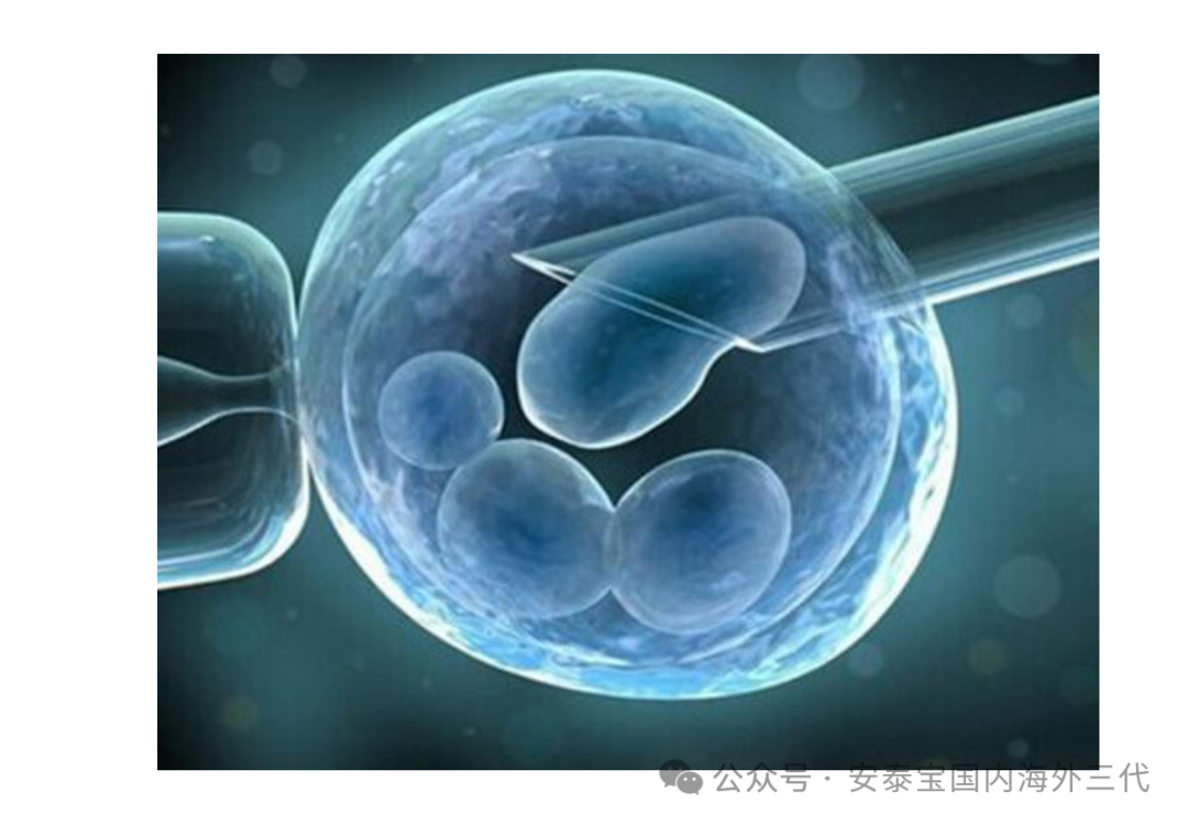 年龄大了，到底要不要做三代试管？