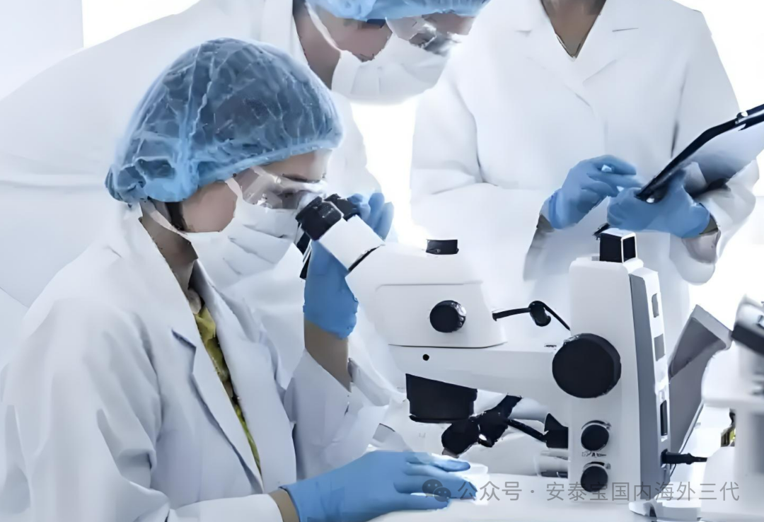 2026年哈萨克斯坦试管法律解读