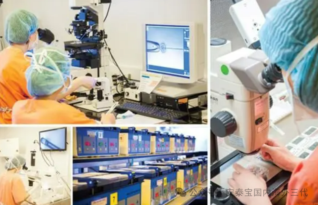 三代试管为什么这么贵？十几万都是怎么花的？