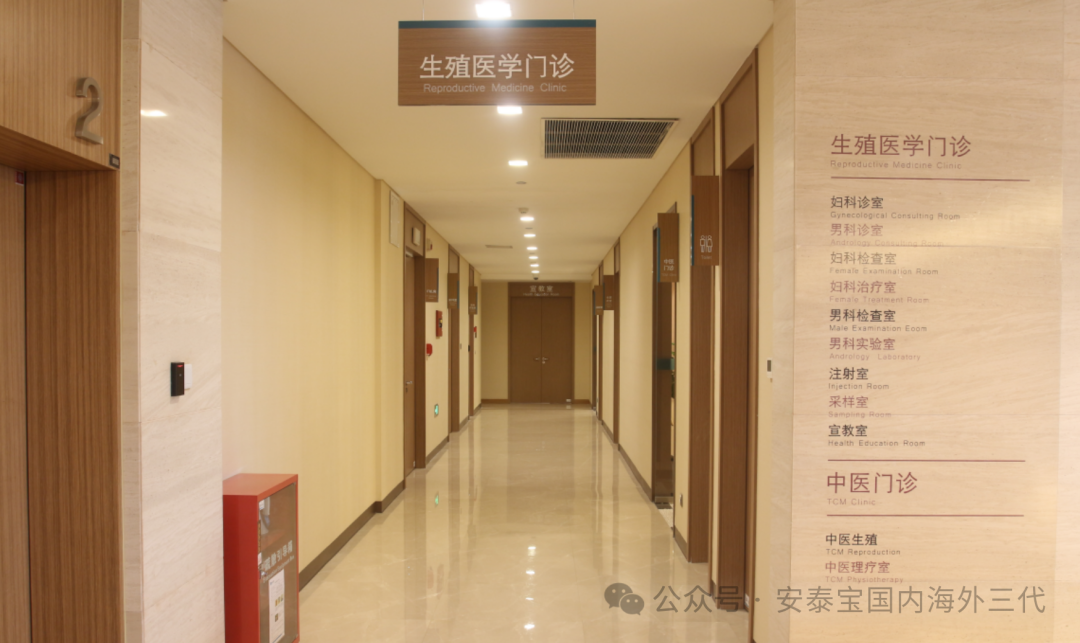 我是如何选择一家靠谱的供卵试管机构？（上）