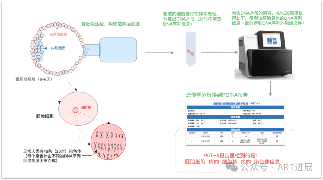 PGT检查报告出炉！怎么看？一篇教你看懂！