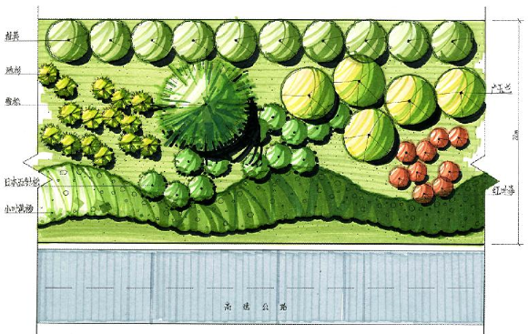 植物群落效果图手绘图片