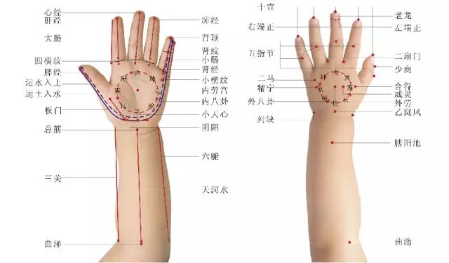 古法经络|小儿推拿十九式高清图解
