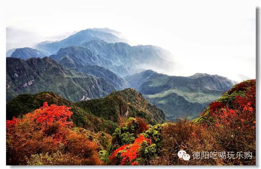 德陽周邊賞紅葉最佳地推薦!【山東建築材料網絡社區】