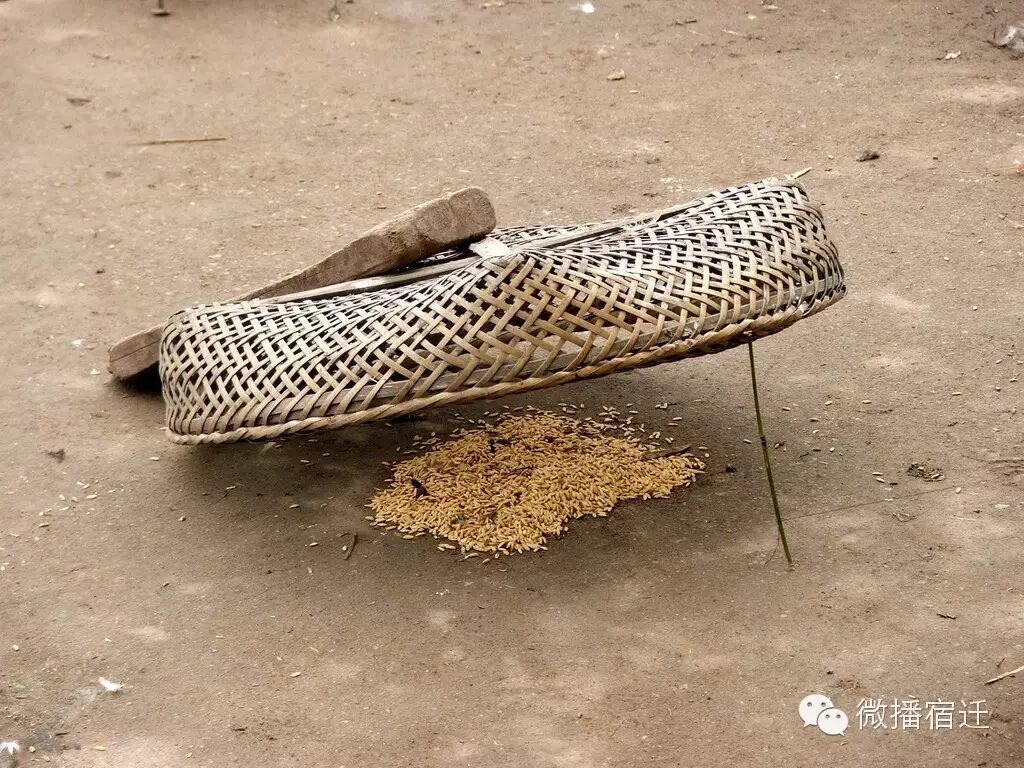 成都水产捕捞联盟