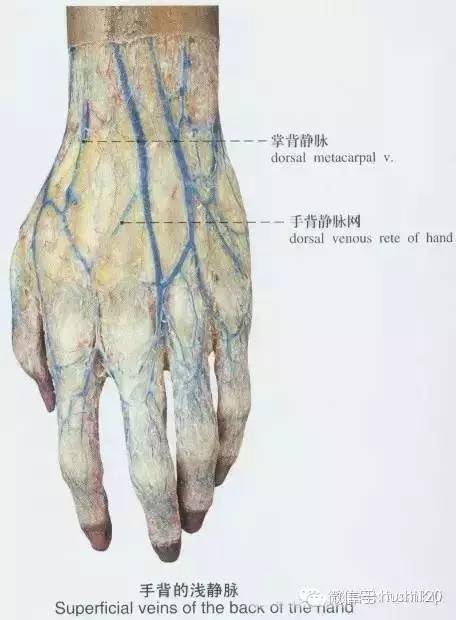 輸液拔針後一定要對患者說的3句話！每次你都說了嗎？ 健康 第3張