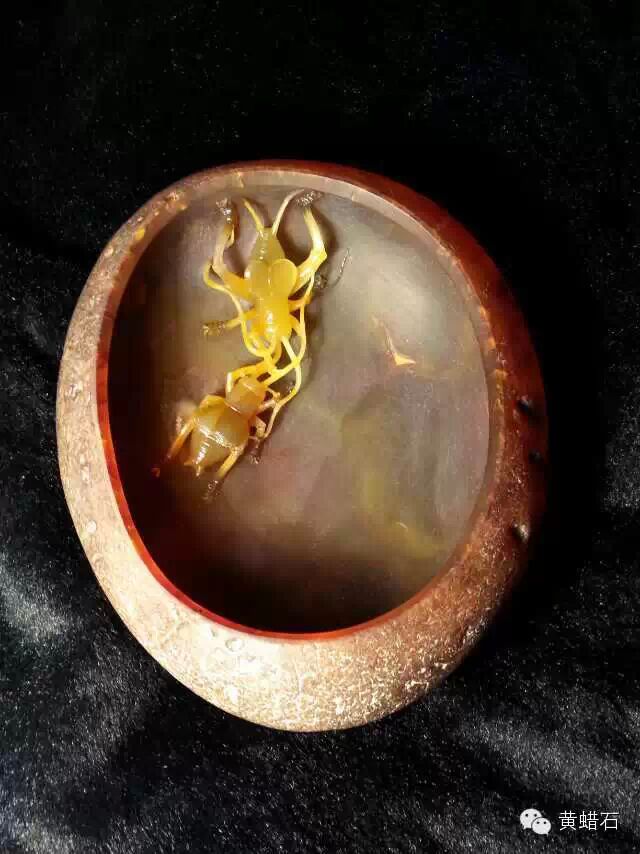 懂玉无瑕陈义作品欣赏