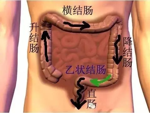 大便与疾病 完美事业知识宝典 微信公众号文章阅读 Wemp