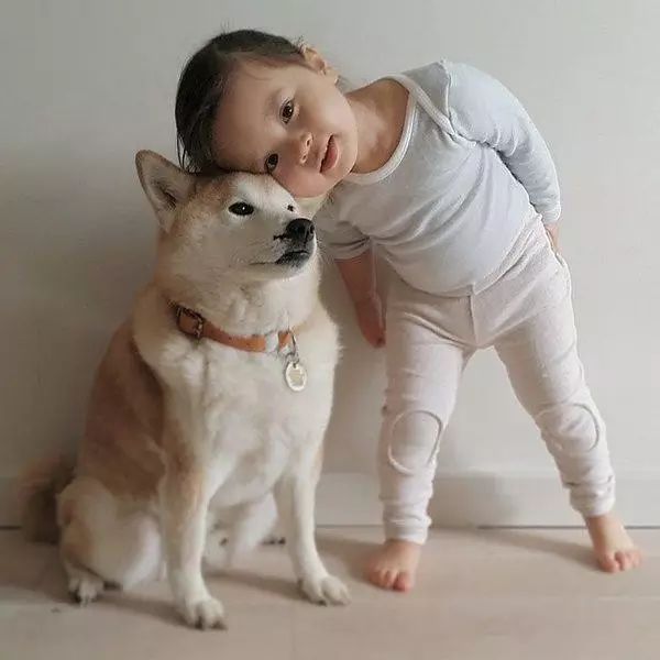 小女孩和柴犬情侣头像图片