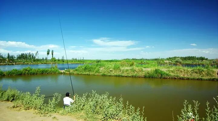 【鱼饵】人工养殖鱼塘用饵有什么窍门?