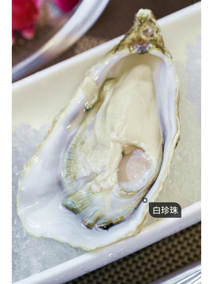 劲爆高大上生蚝馆豪搞五星试吃宴诚邀美人吃货免费吃