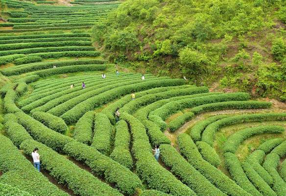 常德米粉被列为非物质文化遗产湖南的非遗美食队伍再次壮大.