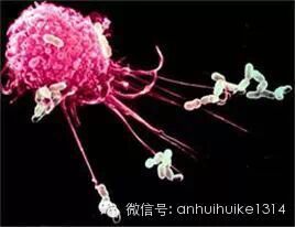 妇可馨凝胶怎么用创新型植物妇科凝胶用药产品 --妇可馨医用抗菌凝胶，面向全国招商_https://www.jmylbn.com_新闻资讯_第10张