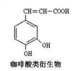 妇可馨凝胶怎么用创新型植物妇科凝胶用药产品 --妇可馨医用抗菌凝胶，面向全国招商_https://www.jmylbn.com_新闻资讯_第6张