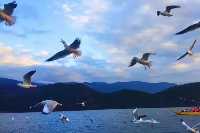 大理住宿贵吗_大理住宿该选哪里_大理住宿住哪里比较好