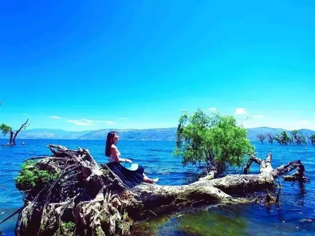 大理住宿贵吗_大理住宿住哪里比较好_大理住宿该选哪里