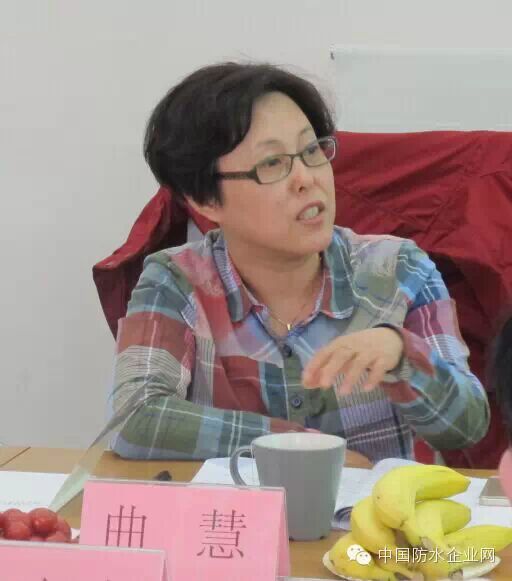 黄靖教授级高工致辞郑风礼董事长致辞孟凡城主任发言田冠飞博士发言