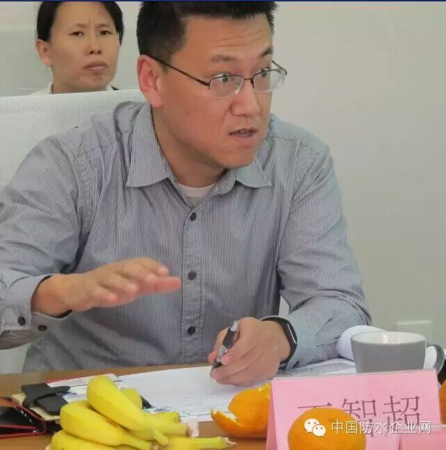 王智超研究员发言巢文革教授级高工发言黄靖教授级高工致辞郑风礼董事