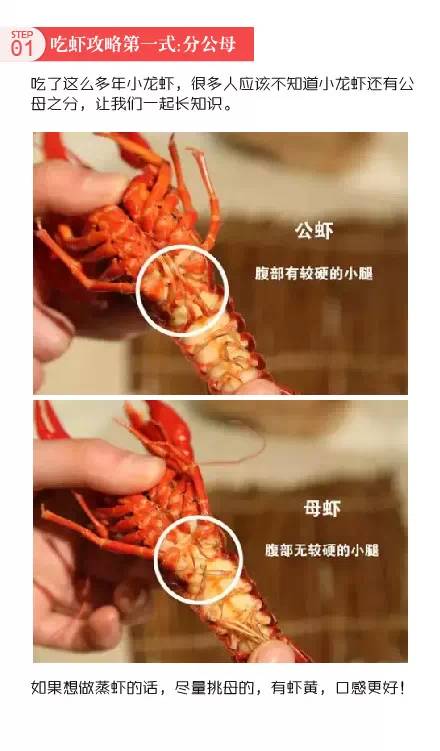 大龙虾公母分辨图片图片