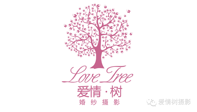 爱情树|lofter(乐乎) - 让兴趣,更有趣