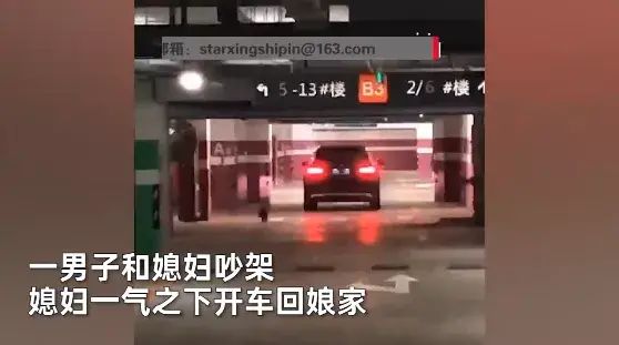 夫妻倆吵完架，媳婦氣到開車回娘家，狗狗這回看不下去了 寵物 第1張