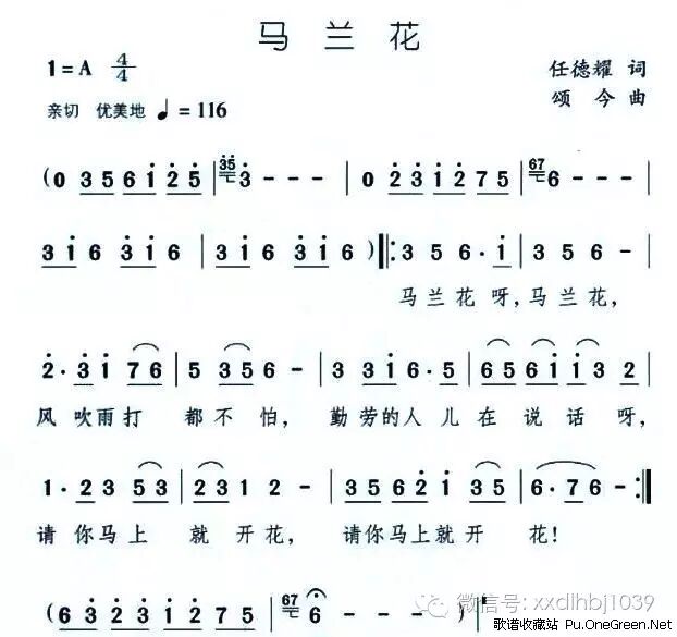 徐徐道来话北京揭秘风靡六十年的童话剧马兰花竟然是即兴之作