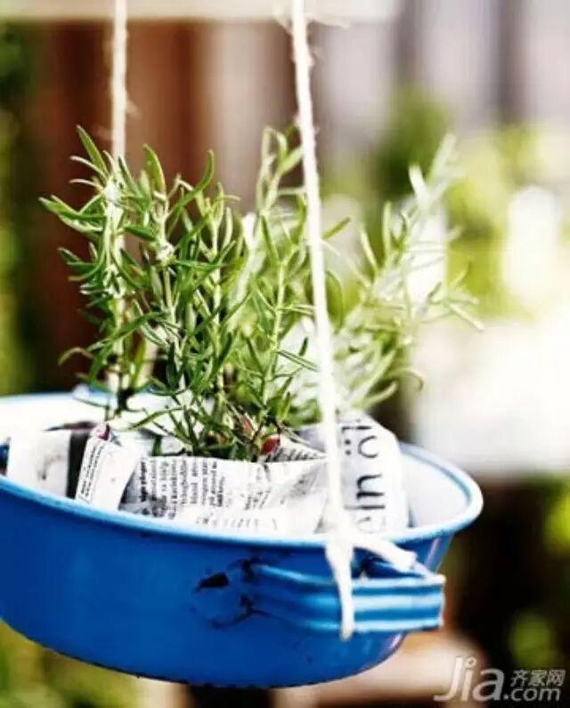 【旧物改造】你还在抱怨家中空间小，无法摆放各式小盆栽吗
