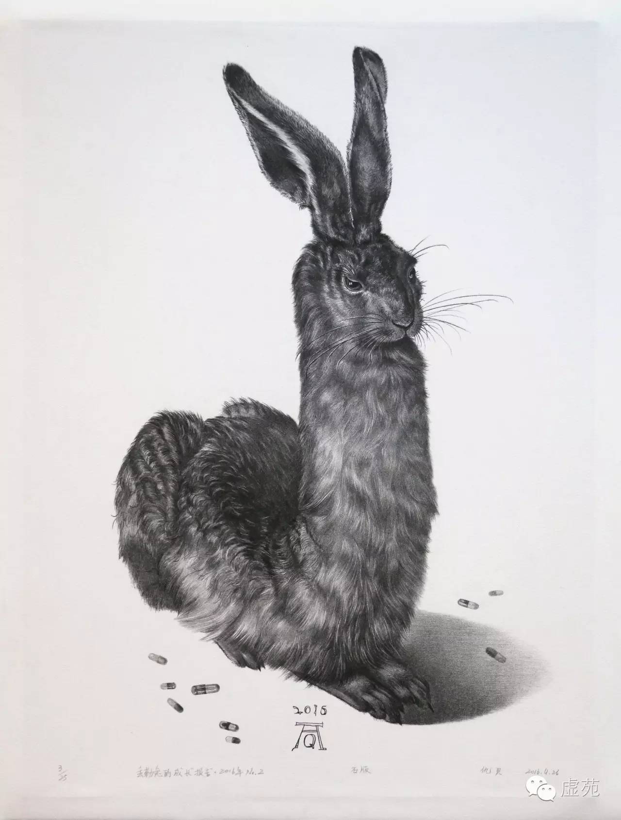 丢勒野兔高清图片