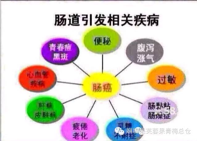 婀娜果莉莉讲堂婀娜果加哆汁人体清肠加排毒