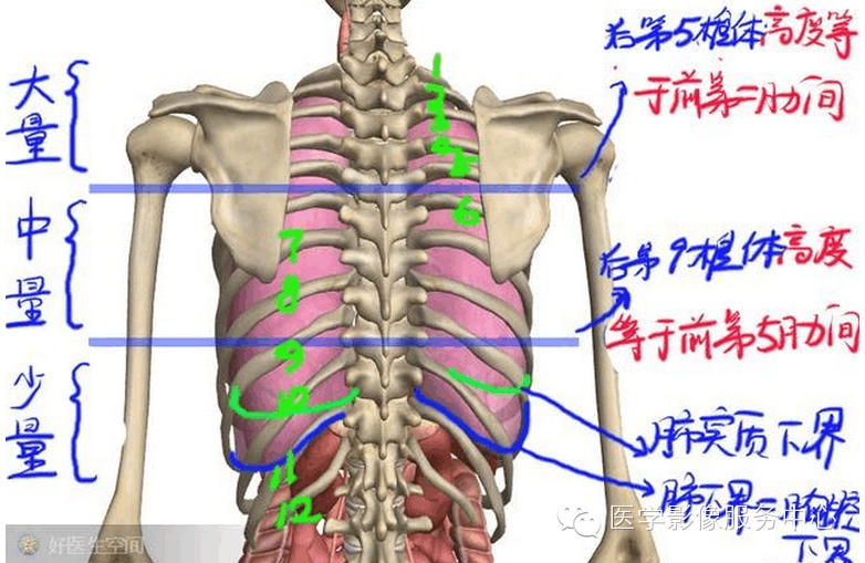 胸腔积液胸片表现患侧肋膈角变钝,300ml—500ml少量积液:第4前肋骨