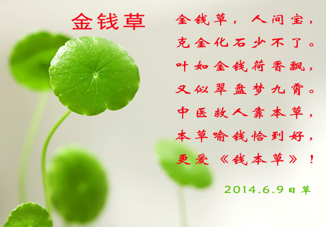 钱本草一篇不足200字的奇文钱到底是什么