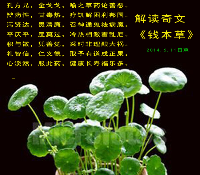 钱本草一篇不足200字的奇文钱到底是什么