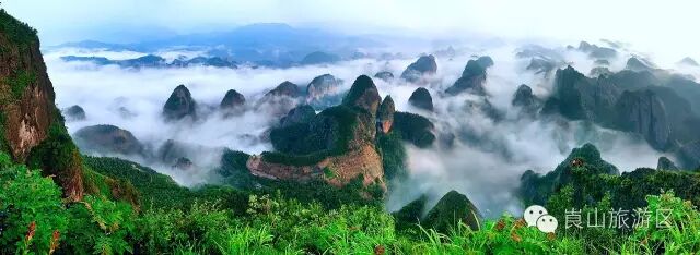 上海到重庆飞机全价票_上海到重庆飞机票价_上海到重庆飞机票价是多少