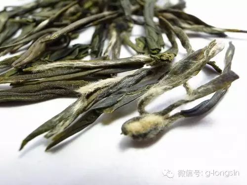 三峡龙井茶