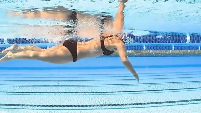 北京游泳教练培训