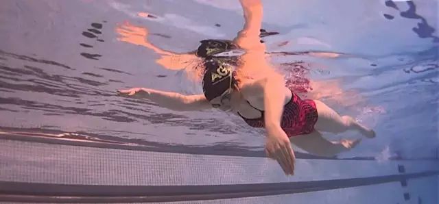 北京游泳教练培训